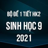 Bộ đề kiểm tra 1 tiết HK2 môn Sinh học lớp 9 năm 2021