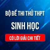 Bộ đề thi THPT QG môn Sinh học năm 2022