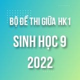Bộ đề thi giữa HK1 môn Sinh học 9 năm 2022-2023