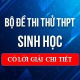 Bộ đề thi thử THPT QG môn Sinh Học năm 2023