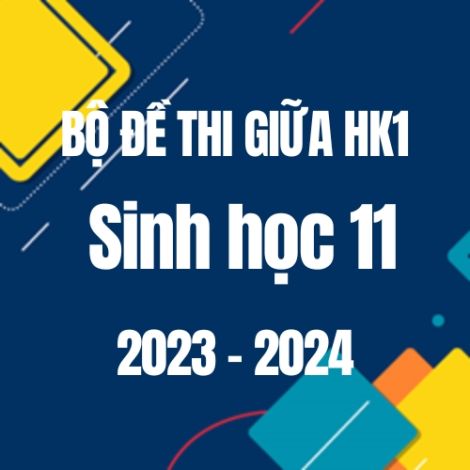Bộ đề thi giữa HK1 môn Sinh học 11 năm 2023-2024