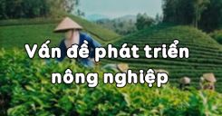 Bài 22: Vấn đề phát triển nông nghiệp