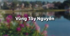 Bài 28: Vùng Tây Nguyên