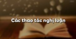 Các thao tác nghị luận
