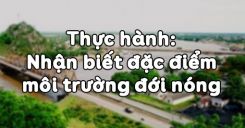 Bài 12: Thực hành Nhận biết đặc điểm môi trường đới nóng