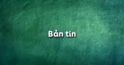 Bản tin