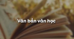 Văn bản văn học