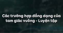 Bài 8: Các trường hợp đồng dạng của tam giác vuông - Luyện tập