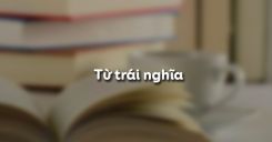 Từ trái nghĩa