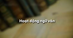 Hoạt động ngữ văn