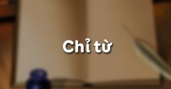 Chỉ từ