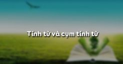 Tính từ và cụm tính từ