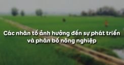 Bài 7: Các nhân tố ảnh hưởng đến sự phát triển và phân bố nông nghiệp
