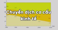 Bài 20: Chuyển dịch cơ cấu kinh tế