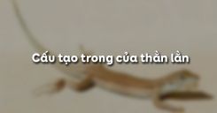 Bài 39: Cấu tạo trong của thằn lằn