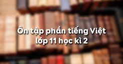 Ôn tập phần tiếng Việt lớp 11 học kì 2