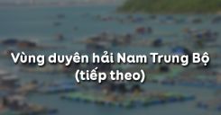 Bài 26: Vùng duyên hải Nam Trung Bộ (tiếp theo)