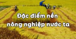 Bài 21: Đặc điểm nền nông nghiệp nước ta