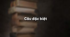 Soạn bài Câu đặc biệt - Ngữ văn 7