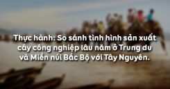 Bài 30: Thực hành So sánh tình hình sản xuất cây công nghiệp lâu năm ở Trung du và Miền núi Bắc Bộ với Tây Nguyên