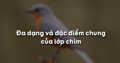 Bài 44: Đa dạng và đặc điểm chung của lớp chim