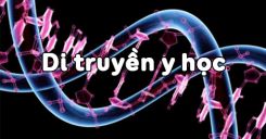 Bài 21: Di truyền y học