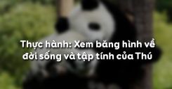 Bài 52: Thực hành Xem băng hình về đời sống và tập tính của Thú