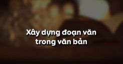 Soạn bài Xây dựng đoạn văn trong văn bản - Ngữ văn 8