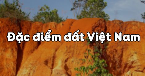 Địa lí 8 Bài 36: Đặc điểm đất Việt Nam