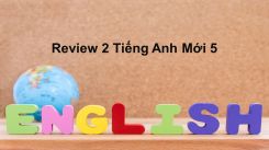 Review 2