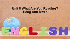 Unit 8: What Are You Reading?
