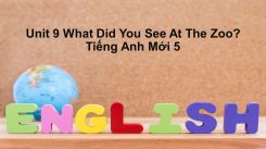 Unit 9: What Did You See At The Zoo?