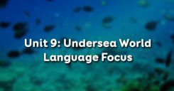 Unit 9: Undersea World - Language Focus