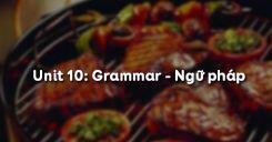Unit 10: Grammar - Ngữ pháp