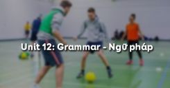 Unit 12: Grammar - Ngữ pháp