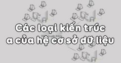 Bài 12: Các loại kiến trúc của hệ cơ sở dữ liệu