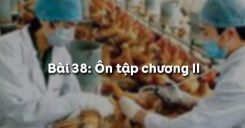 Bài 39: Ôn tập chương II