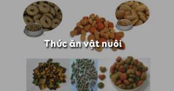 Bài 37: Thức ăn vật nuôi