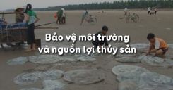 Bài 56: Bảo vệ môi trường và nguồn lợi thủy sản