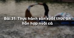 Bài 32: Thực hành sản xuất thức ăn hỗn hợp nuôi cá