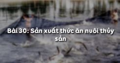 Bài 31: Sản xuất thức ăn nuôi thủy sản