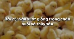 Bài 26: Sản xuất giống trong chăn nuôi và thủy sản