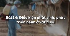 Bài 35: Điều kiện phát sinh, phát triển bệnh ở vật nuôi
