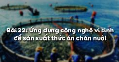 Bài 33: Ứng dụng công nghệ vi sinh để sản xuất thức ăn chăn nuôi