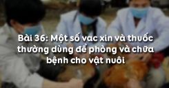 Bài 37: Một số vac xin và thuốc thường dùng để phòng và chữa bệnh cho vật nuôi