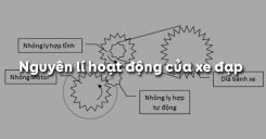 Bài 3: Nguyên lí hoạt động của xe đạp