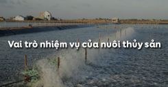 Bài 49: Vai trò nhiệm vụ của nuôi thủy sản