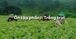 Ôn tập phần I: Trồng trọt