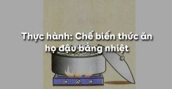 Bài 41: Thực hành: Chế biến thức ăn họ đậu bằng nhiệt