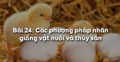 Bài 25: Các phương pháp nhân giống vật nuôi và thủy sản
